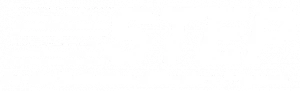 Vendor 3